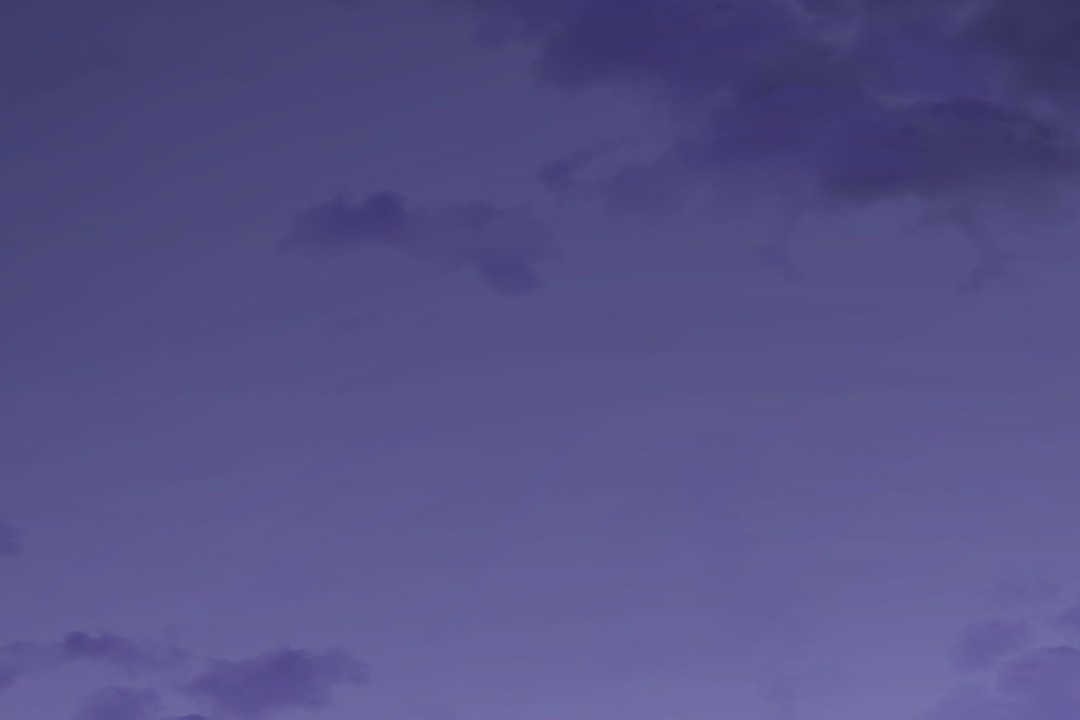 167.jpg