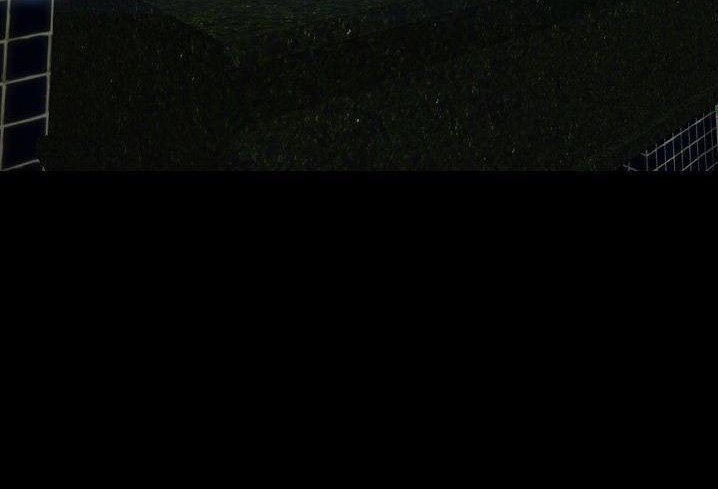 56.jpg