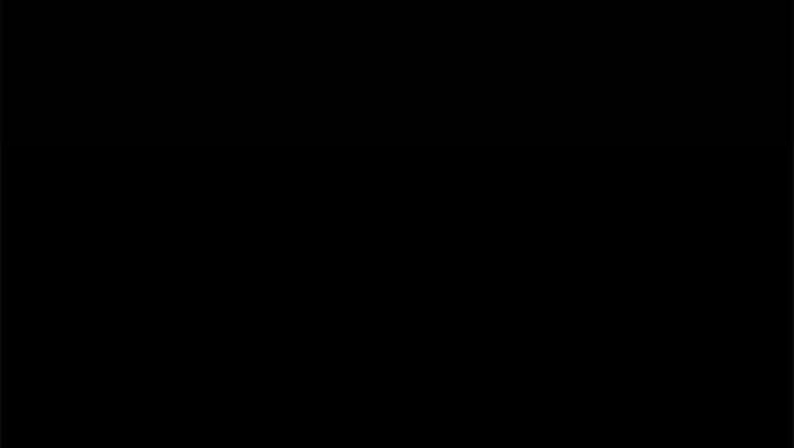 85.jpg