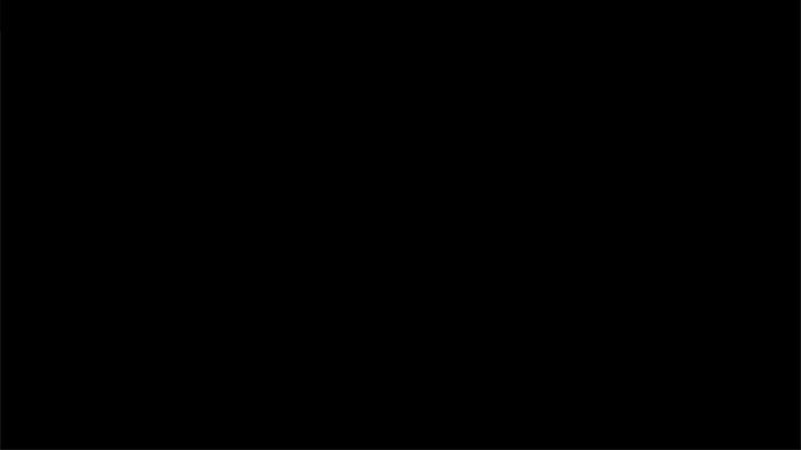 96.jpg