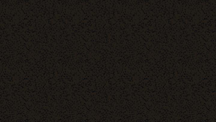 81.jpg