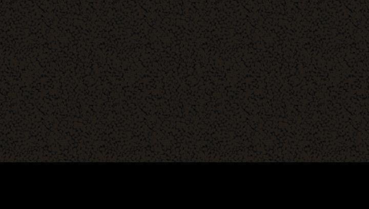 125.jpg